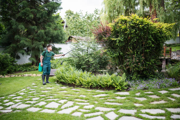 Best Local Pest Control Services  in Northfield, OH