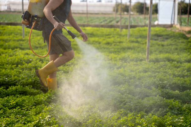 Best Exterminator Services  in Northfield, OH